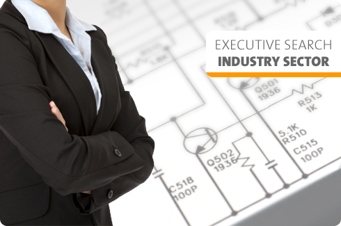 EXECUTIVE SEARCH INDUSTRY SECTOR